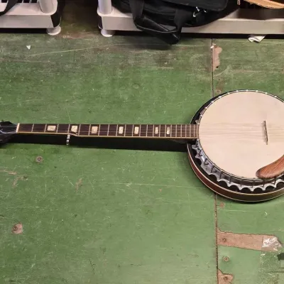 6106 encore 5 string banjo