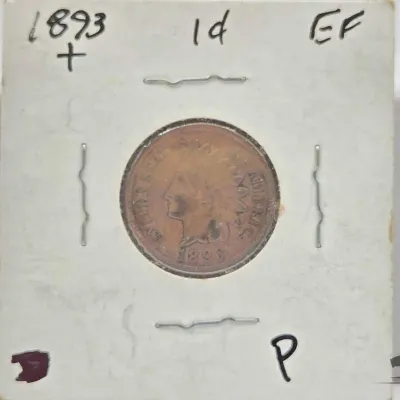 1602 1893 indian head penny