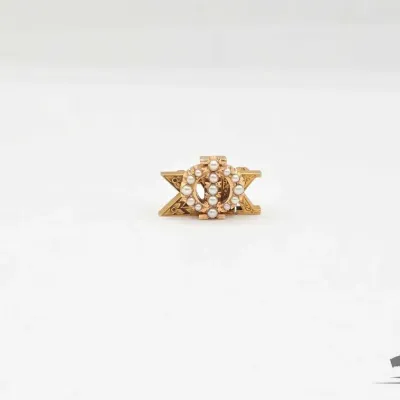 719 14kt phi sigma kappa pin 4 3g
