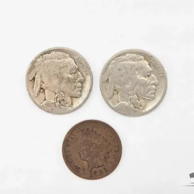1613 u s buffalo nickels and indian head penny