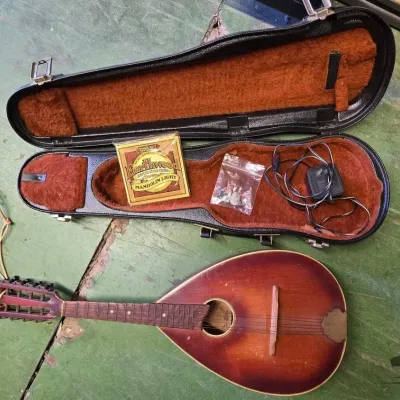 6048 mandolin guitar and strings