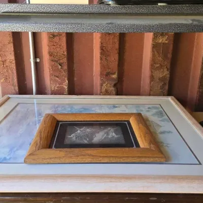 6002 picture frames and hemp ale