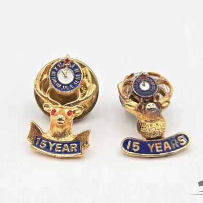 1001 2 elks lodge lapel pins