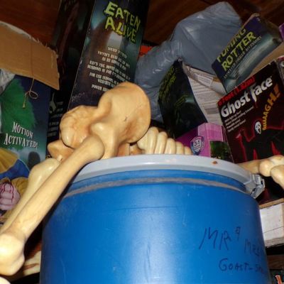 Sale Photo Thumbnail #267