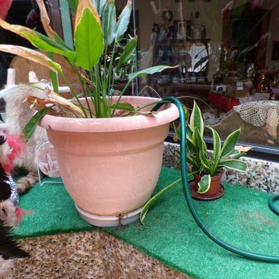 Sale Photo Thumbnail #177