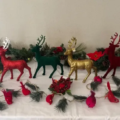 Cardinals And Reindeer 