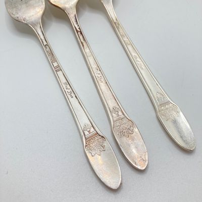 LOT 316: Rogers Bros "First Love" Silver Plated Flatware