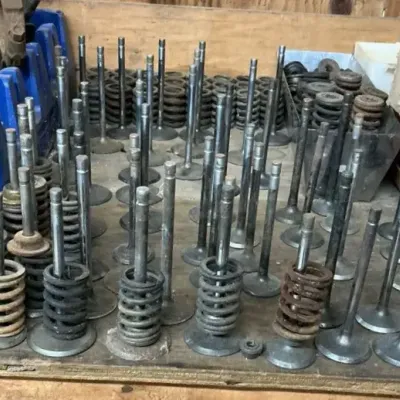 Lot Of Engine Intake And Exhaust Valves