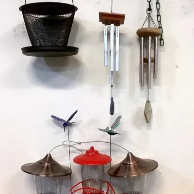 For The Birds!