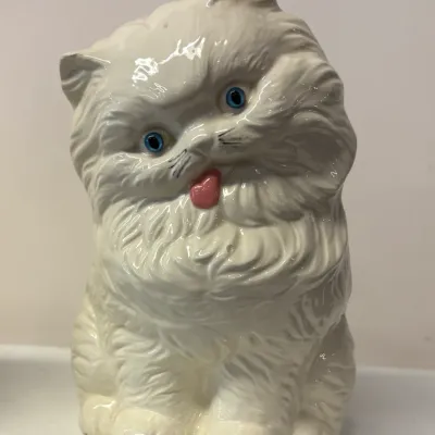 kitty