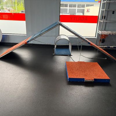 Dog agility A-frame 