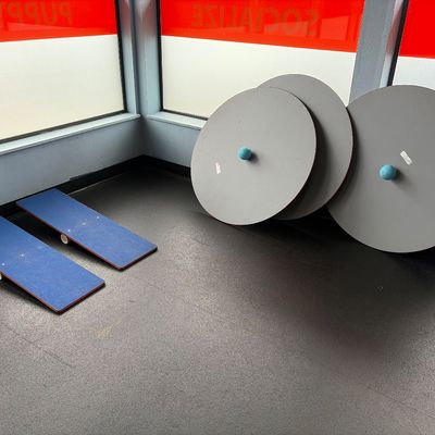 Canine fitness balance discs & tippy planks