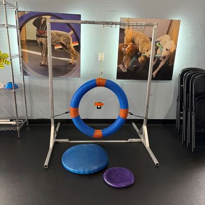 Dog agility tire jump