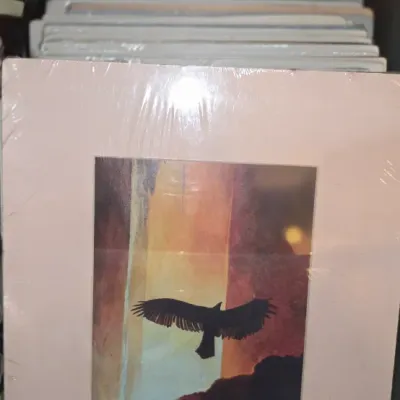 Sale Photo Thumbnail #201