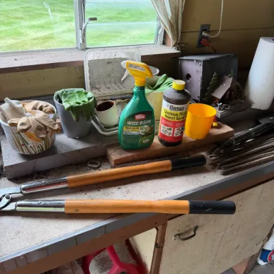 Estate sale photo