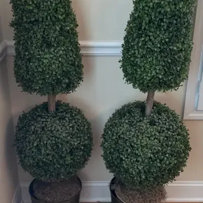 Two Topiaries (artificial)