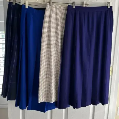 Business Dress Skirts