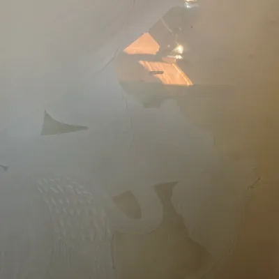 etched mermaid glass panel