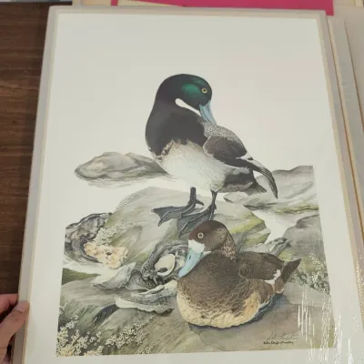 Sale Photo Thumbnail #236