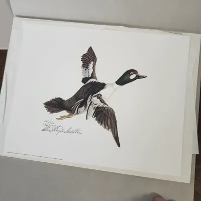 Sale Photo Thumbnail #254