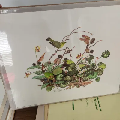 Sale Photo Thumbnail #238