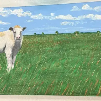 Original Signed Acrylic White Cow Pasture Painting on Gallery-Wrapped Canvas – 12” x 29”