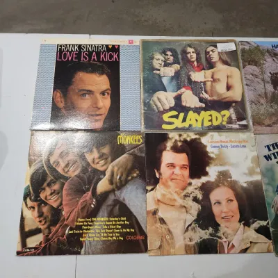 Vintage Vinyl Record LPs - Frank Sinatra Cher Monkees Willie Nelson Classic Rock Pop Country