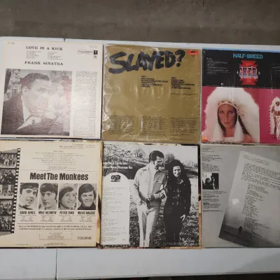 Vintage Vinyl Record LPs - Frank Sinatra Cher Monkees Willie Nelson Classic Rock Pop Country