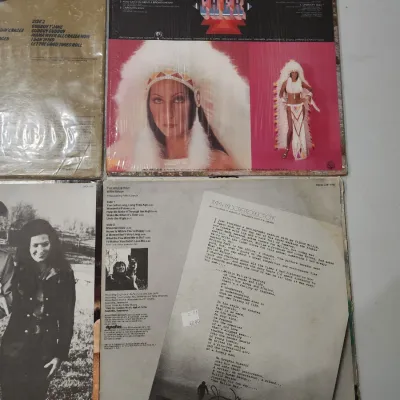 Vintage Vinyl Record LPs - Frank Sinatra Cher Monkees Willie Nelson Classic Rock Pop Country