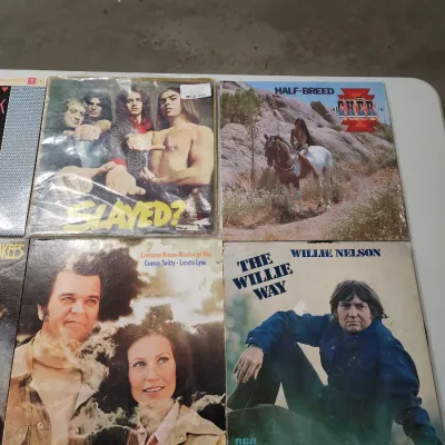 Vintage Vinyl Record LPs - Frank Sinatra Cher Monkees Willie Nelson Classic Rock Pop Country