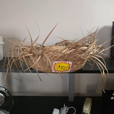 Straw Haw