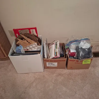 Knitting, Painting and More! (B3-KD)