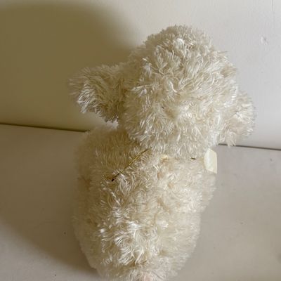 Collection of TY Beanie Babies & More (B2-SF)