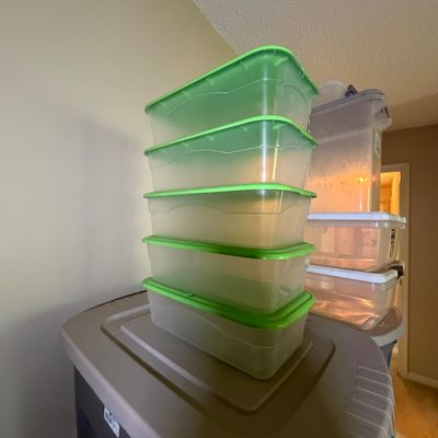 Very Large Collection of Lidded Storage Bins (B1-BC)