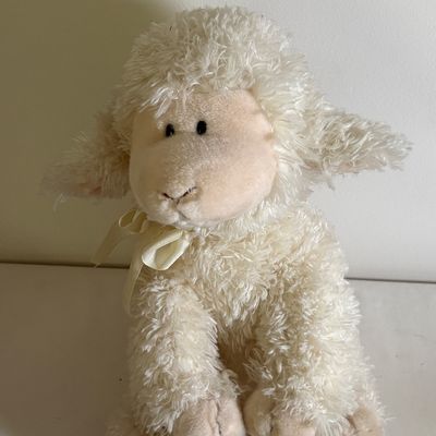 Collection of TY Beanie Babies & More (B2-SF)