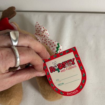 Collection of TY Beanie Babies & More (B2-SF)