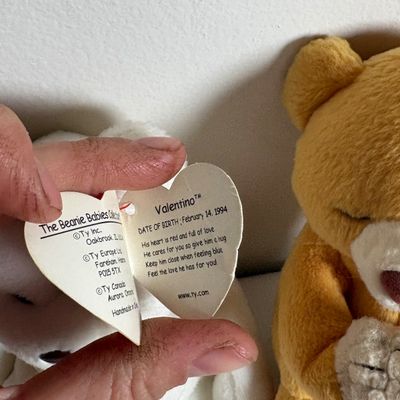 Collection of TY Beanie Babies & More (B2-SF)