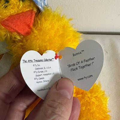 Collection of TY Beanie Babies & More (B2-SF)