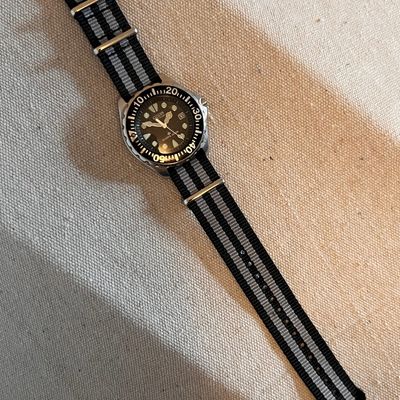 Citizen Echo Drive Divers Watch