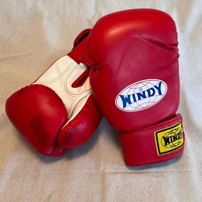Windy BGL Lace-up Boxing Gloves