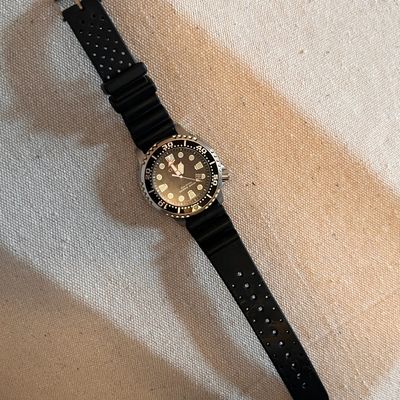 Citizen Men’s Echo Drive ProMaster