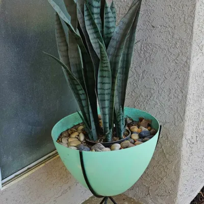 MCM Wire Tripod Bullet Planter.