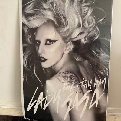 LOT 91A: Paws Up! Lady Gaga Collection: NIP DVD, CDs, Singing Toothbrush & Gaga's Workshop Souvenirs