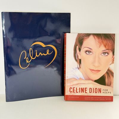 LOT 90A: Celine Dion Collection: For Keeps Book, Concert Book, Tapes, CDs & DVDs