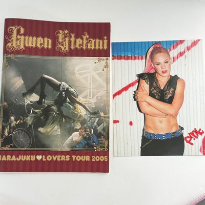 LOT 92A: P!nk, Amy Winehouse & Gwen Stefani CDs, Feetwood Mac DVD, XL Pink 2013 Tour Shirt, Pat Benatar & Blondie Tapes & More