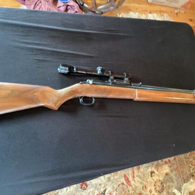 Rifle No. 4- Sheridan Products Blue Steak 5mil Pellet