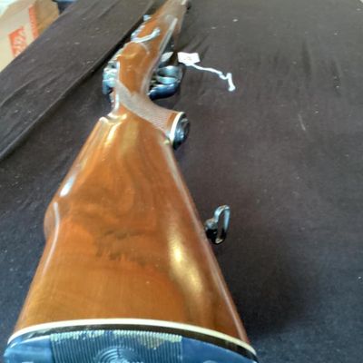 Rifle No. 20- Stoeger Arms Mannicher Schoenauer MCA Bolt Action .243