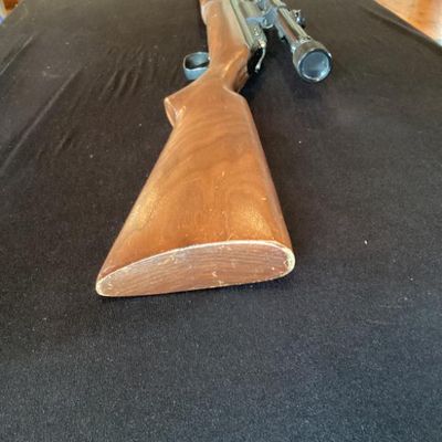 Rifle No. 4- Sheridan Products Blue Steak 5mil Pellet