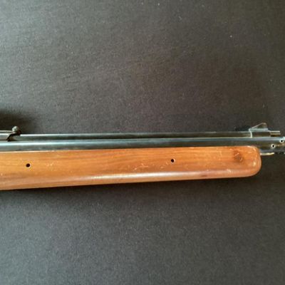 Rifle No. 4-Sheridan Products Blue Steak 5mil Pellet