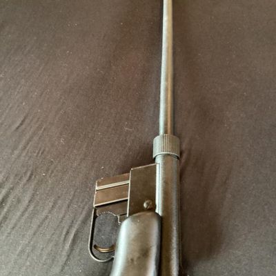Rifle No. 3- AR 7 Explorer .22 LR